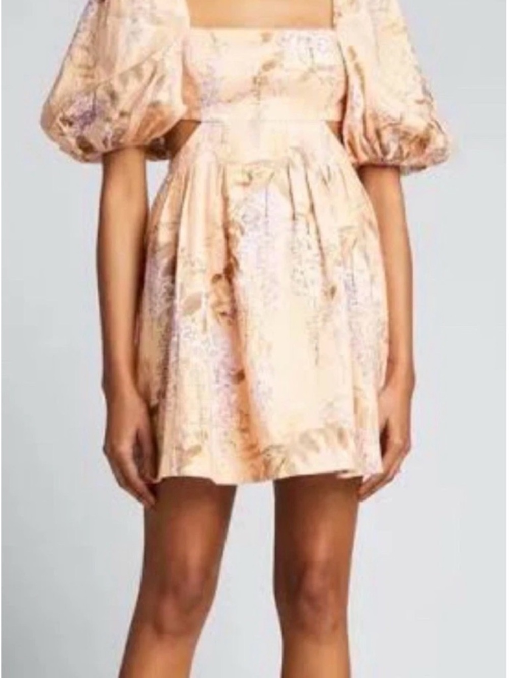 Zimmermann Rosa Cutout Mini Dress